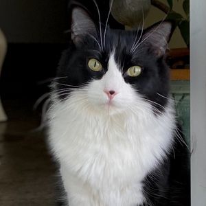 Meet your Posher, Anna